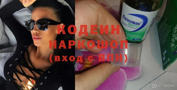 хмурый Верея