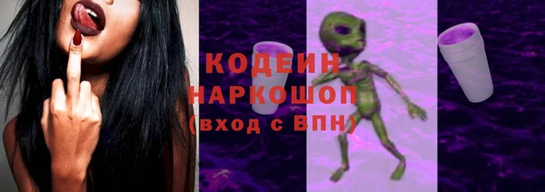 хмурый Верея
