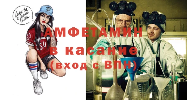 хмурый Верея